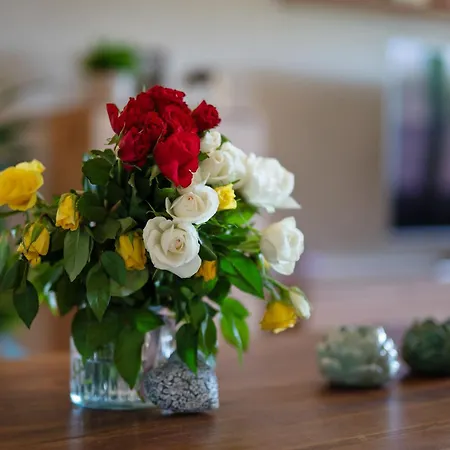 An Der Mueritz Διαμέρισμα *